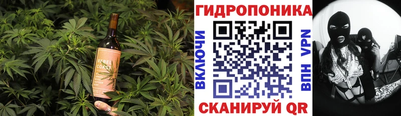 Canna-Cookies конопля  Нестеров 