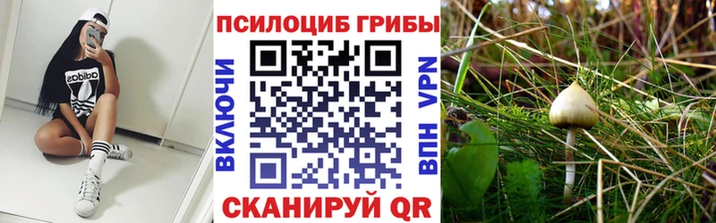 Галлюциногенные грибы прущие грибы  магазин продажи   Нестеров 